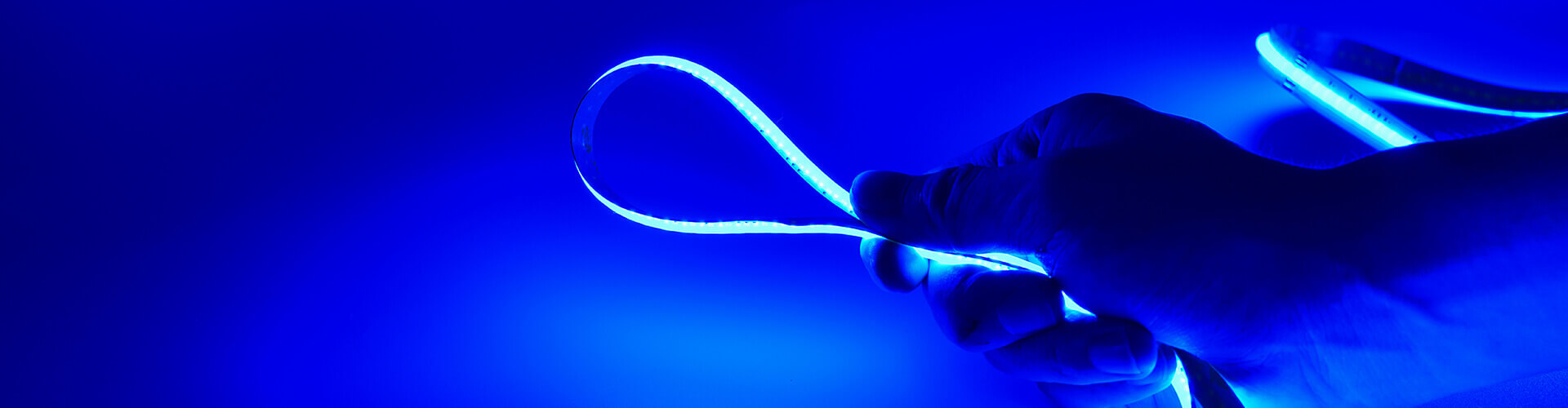 RGBW COB LED Strip 786LEDs/M 4-in-1 DC24V CRI97 12mm