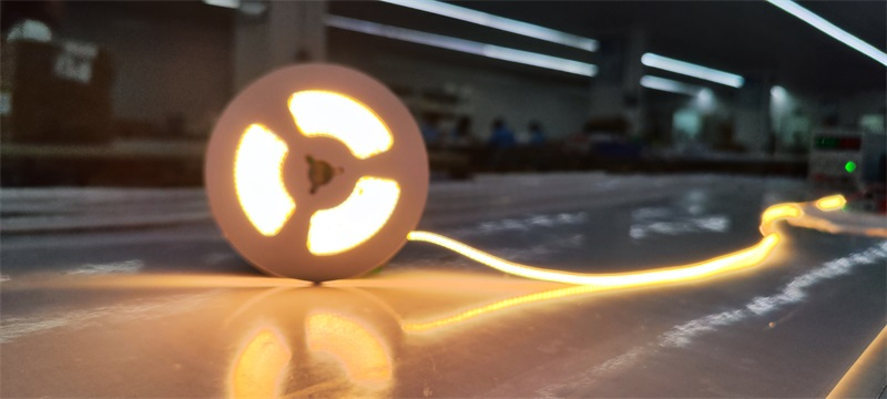 IMG_20240424_112251 IMG_20240424_112251