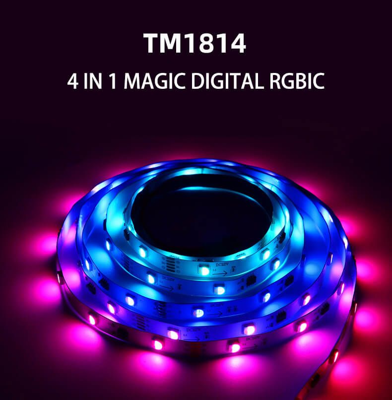 TM1814B RGBW LED Strip 4-in-1 External IC 5050 DC12V/DC24V - 6