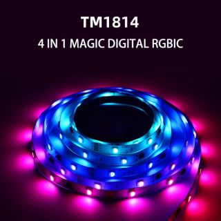 TM1814B RGBW LED Strip 4-in-1 External IC 5050 DC12V/DC24V - 6