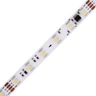 TM1814B RGBW LED Strip 4-in-1 External IC 5050 DC12V/DC24V - 1