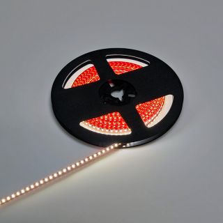 3mm Ultra Narrow LED Strip Light – SMD2216 240 LEDs/m, 6500K, CRI90, DC24V, 5W/m, 5m Roll - 5