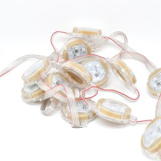 Rgb outdoor holiday lights, 24V Christmas lights - 2